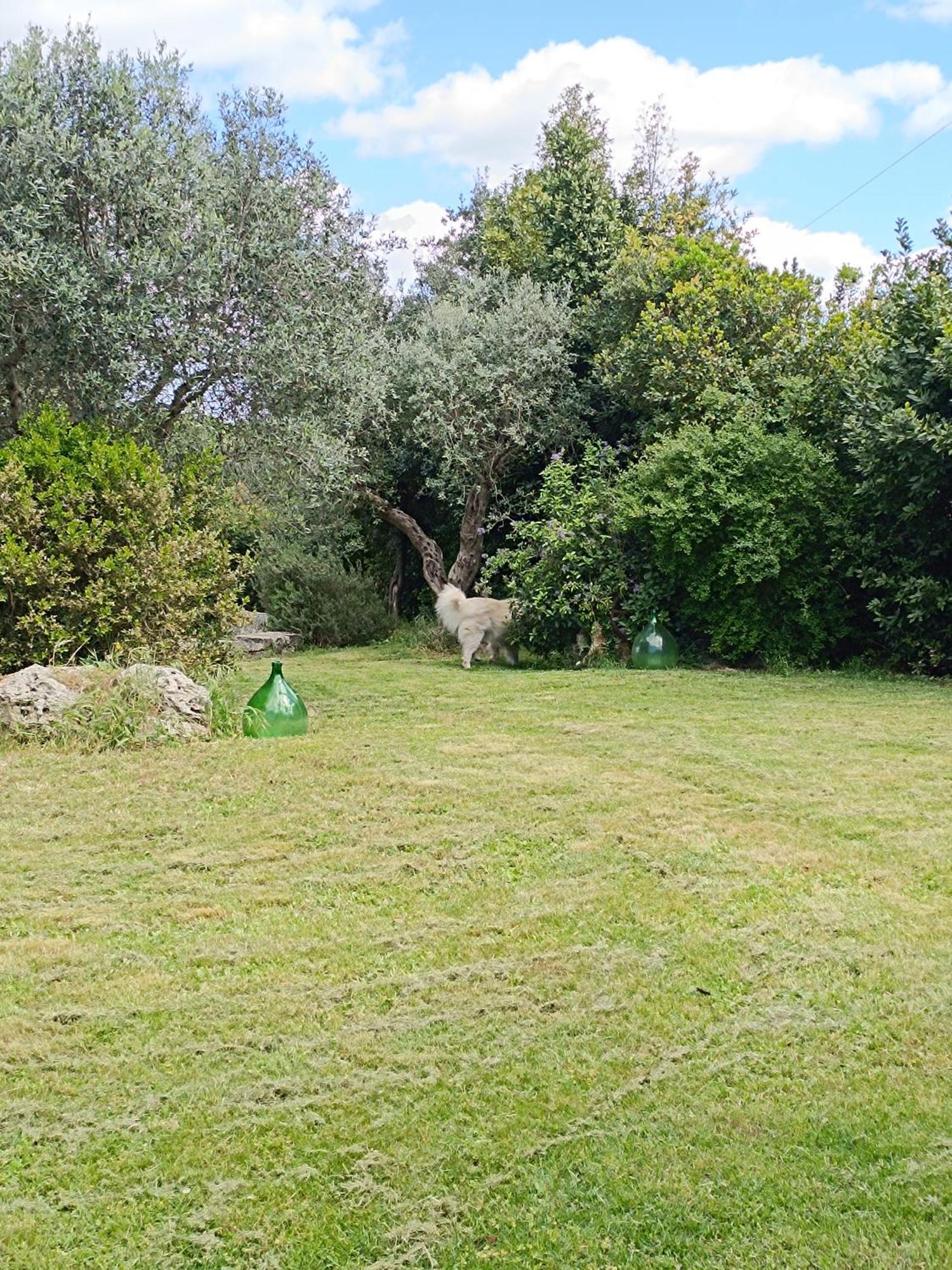 Trullo Galeotto Villa Мартина Франка Екстериор снимка